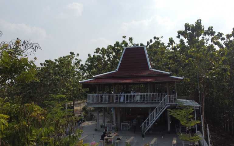 Hamparan Keindahan Gugel Park Grobogan: Udara Sejuk dan Spot Foto Menarik
