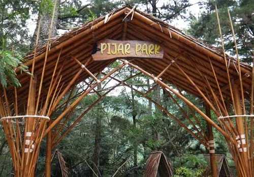 Ditumbuhi Pepohonan Pinus Menjadi Daya Tarik Wisata Pijar Park Kudus