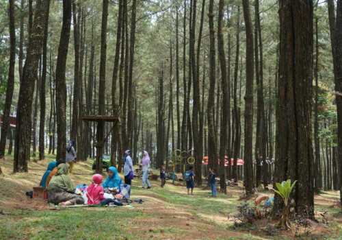 Panorama Alam yang Epic Ada di Kembang Langit Park Batang