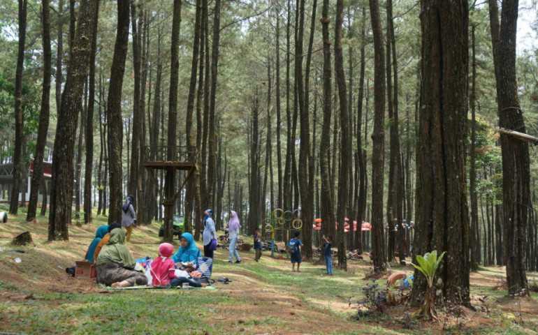 Panorama Alam yang Epic Ada di Kembang Langit Park Batang