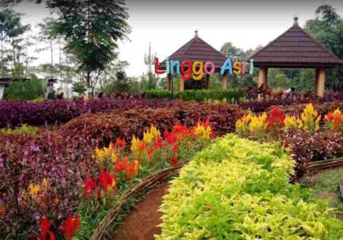 Ayo! Ajak Kelurga Berlibur di Wisata Linggo Asri Pekalongan