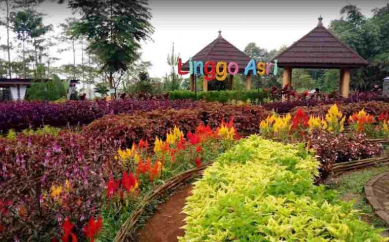 Ayo! Ajak Kelurga Berlibur di Wisata Linggo Asri Pekalongan