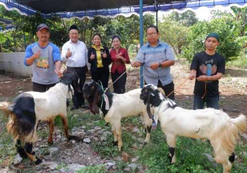 Sambut Idul Adha 1444 Hotel Ciputra Semarang Salurkan Hewan Qurban