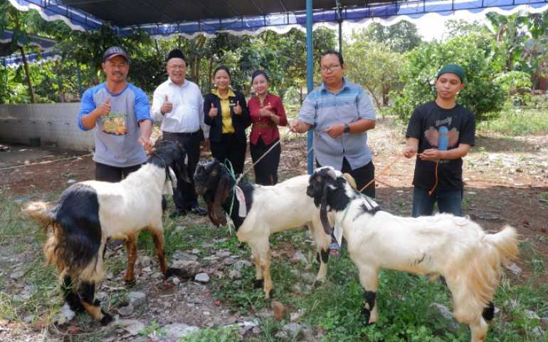 Sambut Idul Adha 1444 Hotel Ciputra Semarang Salurkan Hewan Qurban