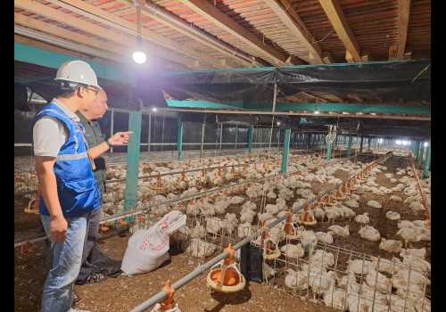Pertanian Modern Berbasis Listrik Kian Berkembang, Program Electrifying Agriculture PLN Tumbuh 22,28 Persen