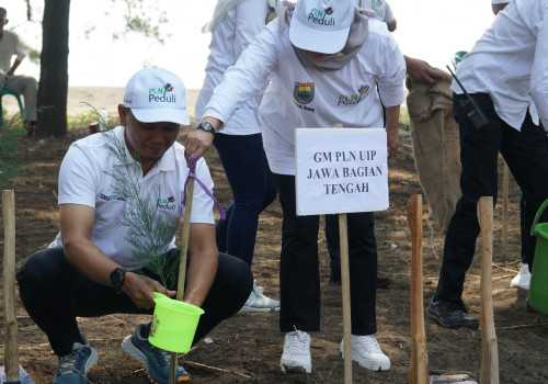 Berperan Aktif dalam Konservasi Pantai dan Air, PLN Salurkan Bantuan 31.000 Pohon untuk Kabupaten Batang