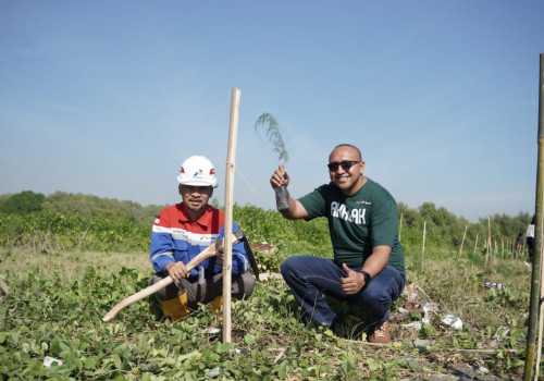 Tekan Emisi Karbon, Pertamina Patra Niaga JBT Lakukan Tanam Mangrove dan Cemara Laut