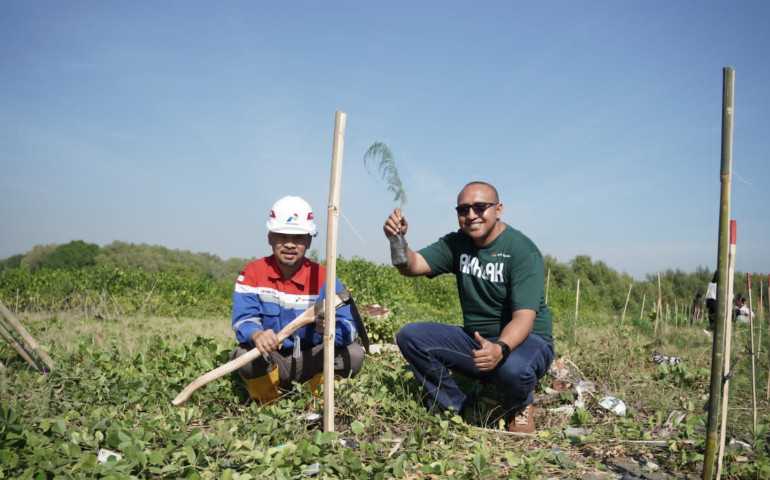Tekan Emisi Karbon, Pertamina Patra Niaga JBT Lakukan Tanam Mangrove dan Cemara Laut