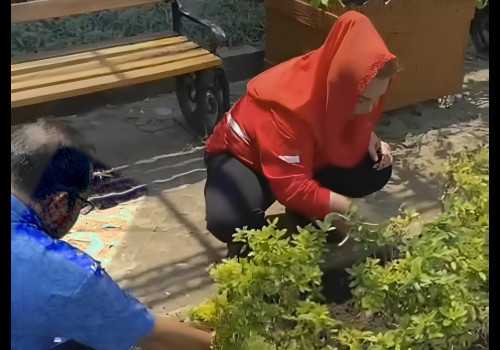 Wali Kota Semarang Ingin Balaikota Jadi Kantor Green Building