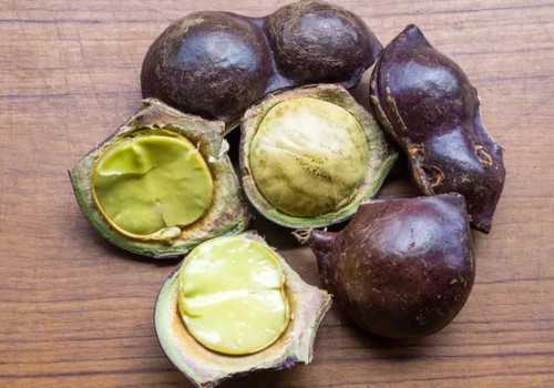 Jangan Keseringan, Begini Cara Jengkol Merusak Organ Ginjal
