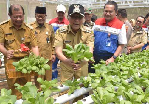 Berkat Program Pertamina, Boyolali Kini Punya Wisata Edukasi Pertanian dan Peternakan Inklusi