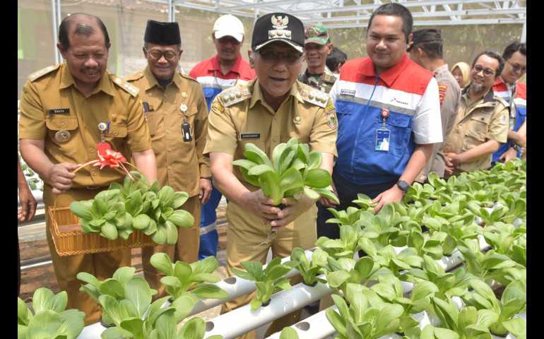 Berkat Program Pertamina, Boyolali Kini Punya Wisata Edukasi Pertanian dan Peternakan Inklusi