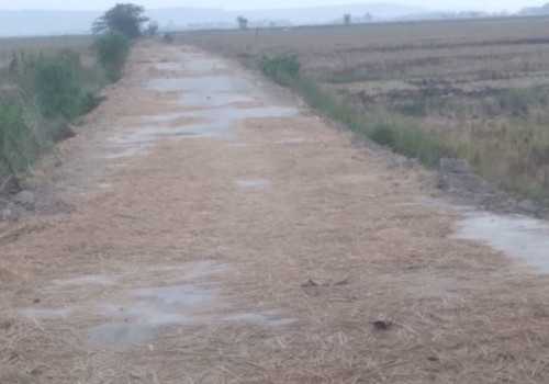 Kelompok Tani Bulusan Kendal Kecewa, Pemeliharaan Jalan Salahi Aturan