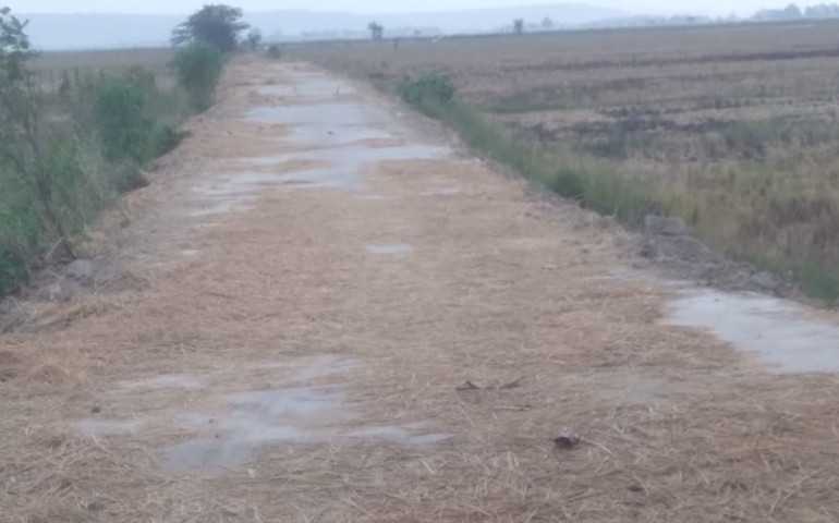 Kelompok Tani Bulusan Kendal Kecewa, Pemeliharaan Jalan Salahi Aturan