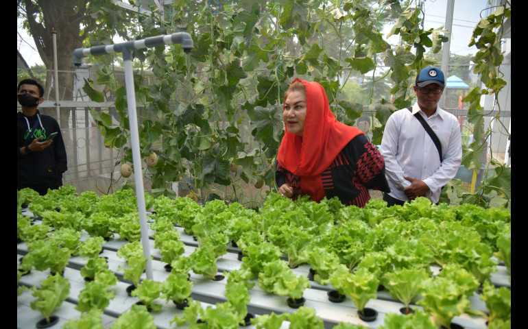 Resmikan Urban Farming di Sekolah Nusaputera, Mbak Ita Bangga Anak-anak Muda Ciptakan Teknologi Pertanian