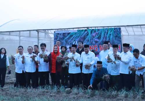 Jaga Ketahanan Pangan, Mbak Ita Libatkan Masjid Lakukan Urban Farming