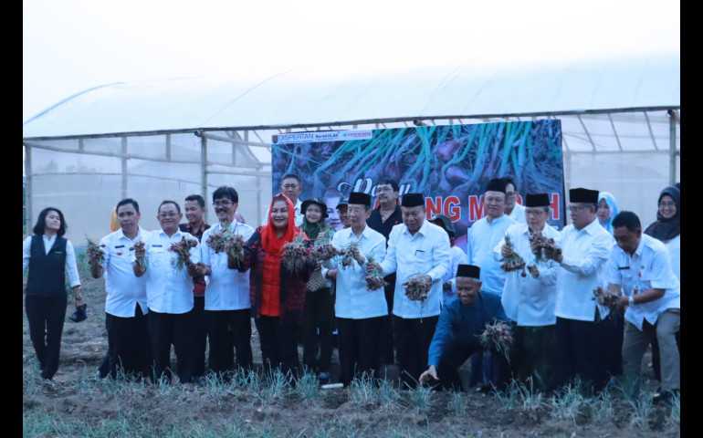 Jaga Ketahanan Pangan, Mbak Ita Libatkan Masjid Lakukan Urban Farming
