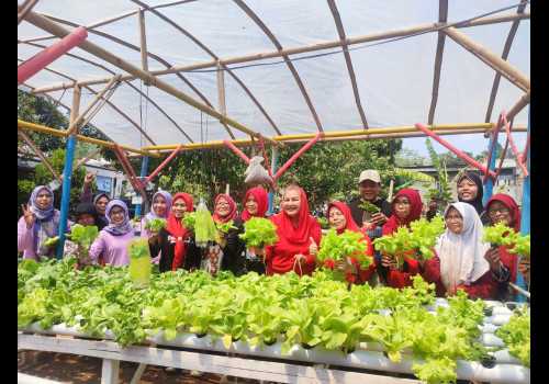 Harga Cabai Naik, Mbak Ita Kembali Ingatkan Masyarakat Pentingnya Urban Farming