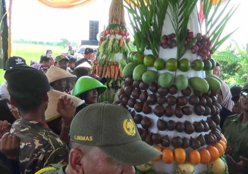 Jelang Masa Panen, Desa Kalirejo Kendal Gelar Kirab Budaya Gunungan dan Tumpeng