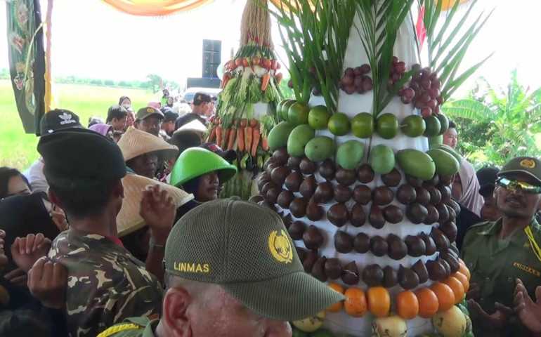 Jelang Masa Panen, Desa Kalirejo Kendal Gelar Kirab Budaya Gunungan dan Tumpeng