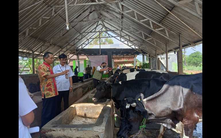 Sisihkan Boyolali dan Banyumas, Kelompok Tani Ternak Sido Makmur Gunungpati Raih Juara I Lomba KTT Sapi Perah Tingkat Jawa Tengah