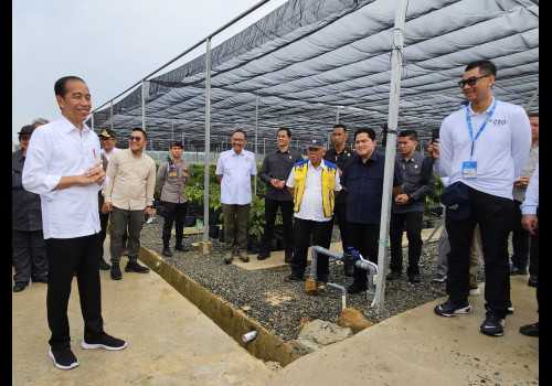 Dampingi Kunjungan Presiden di IKN, Dirut PLN Siap Penuhi Kebutuhan Listrik Dari Energi Bersih