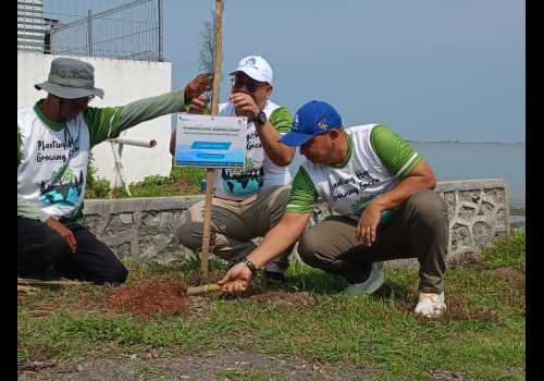 Hijaukan Ekosistem Pesisir, KIW Tanam Ribuan Pohon Mangrove dan Cemara Laut di Lingkungan Kawasan Industri