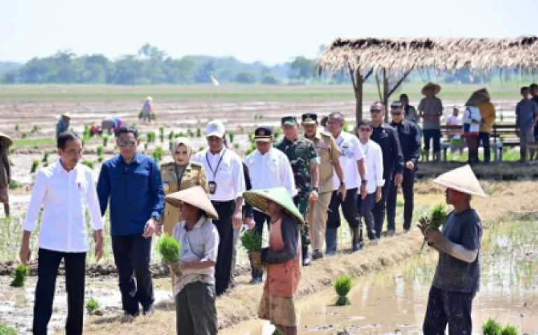 Musim Hujan Tiba, Presiden Jokowi Dorong Petani Tanam Padi
