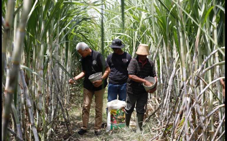 Petani Tebu Jatim Wadul ke Ganjar : Pak, Pabrik Tebu Negara Banyak Tikusnya