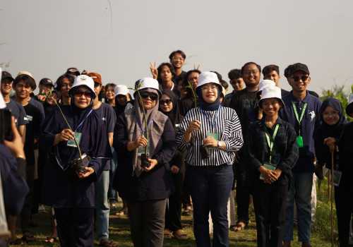 Gelar Kegiatan Peduli Lingkungan, Mahasiswa Udinus Tanam 500 Bibit Mangrove di Pantai Tirang Semarang