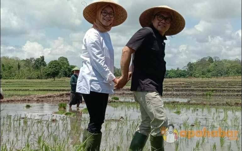 Komitmen AMIN Bantu Sejahterakan Petani