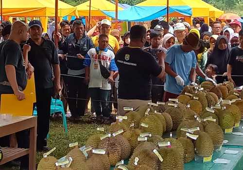 Sebanyak 40 Petani Turut Serta Meriahkan Festival Durian di Lapangan Desa Kebongembong Kendal