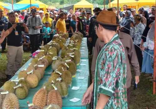 Desa Kebongembong Kendal Merupakan Sentra Penghasil Durian Lokal