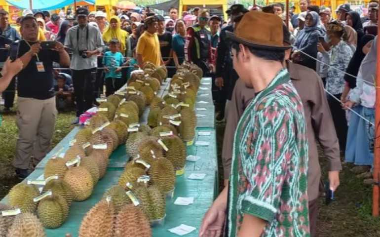 Desa Kebongembong Kendal Merupakan Sentra Penghasil Durian Lokal