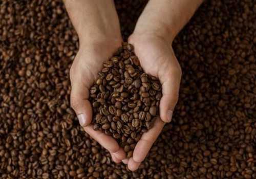 Asing di Telinga, Ini Sederet Kopi dari Kotoran Hewan yang Ramai di Pasaran