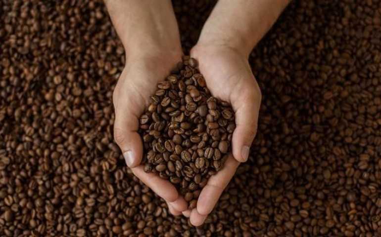 Asing di Telinga, Ini Sederet Kopi dari Kotoran Hewan yang Ramai di Pasaran