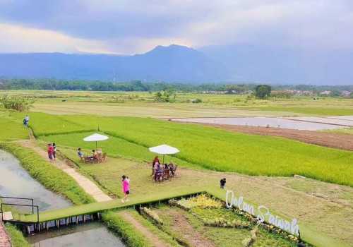 Sensasi Wisata Kuliner di Dolan Sawah Salatiga, Nikmati Kuliner Nusantara di Tengah Keindahan Alam Pedesaan