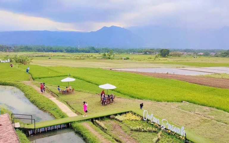 Sensasi Wisata Kuliner di Dolan Sawah Salatiga, Nikmati Kuliner Nusantara di Tengah Keindahan Alam Pedesaan