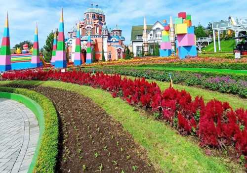 Liburan Seru di Taman Bunga Celosia, Temukan Ketenangan di Lereng Gunung Ungaran