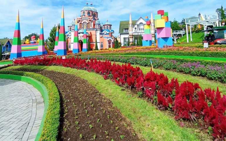 Liburan Seru di Taman Bunga Celosia, Temukan Ketenangan di Lereng Gunung Ungaran