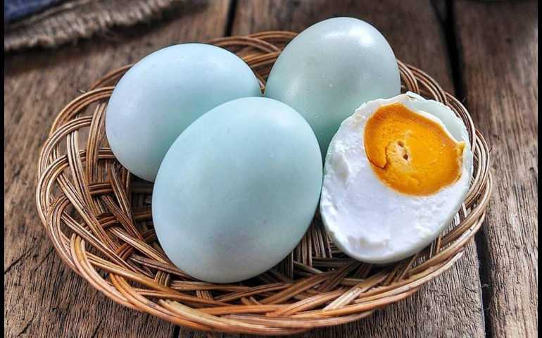 Telur Asin Brebes Begitu Populer, Kelezatan yang Menggoda Masyarakat Indonesia
