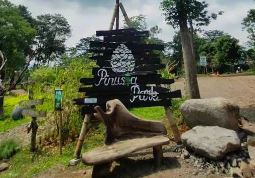 Keindahan Alam dan Kegembiraan Bersama di Pinusia Park Ungaran