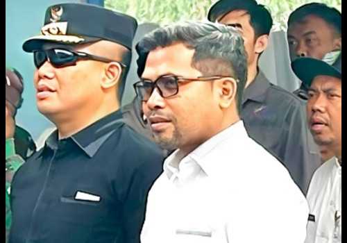 Ferry Wawan Cahyono Dorong Pemda Berinovasi dalam Pengembangan Sektor Strategis