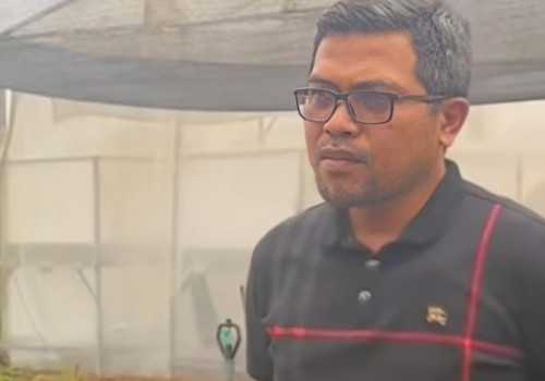 Wakil Ketua DPRD Jateng Ferry Wawan Cahyono Dorong Pengembangan Budidaya Kentang di Banjarnegara