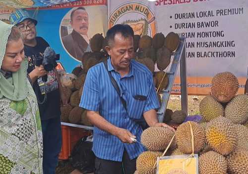 Bahagia, Durian Musang Milik Rodhi Diborong Mbak Ita