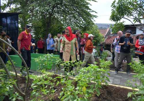 Resmikan Taman dan Greenhouse Gebangsari, Wali Kota Semarang Komitmen Perbanyak RTH