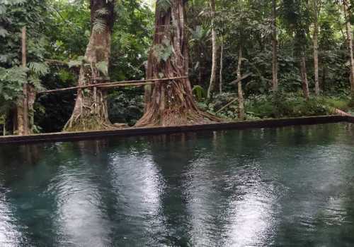 Keindahan Alam Tersembunyi, Sendang Maren Magelang Hadirkan Kesejukan dari Mata Air Alami