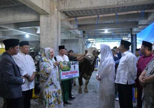 Idul Adha dan Penyembelihan Qurban Pemkot Semarang Tahun Ini Jangkau Wilayah Pinggiran
