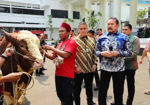 Semarak Idul Adha 1445 H/2024 M, Jaksa Agung Serahkan Hewan Kurban 36 Sapi & 3 Kambing