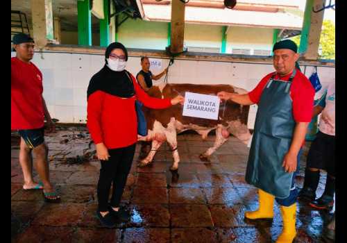 Mbak Ita Turut Sumbang Sapi Kurban di DPC PDI Perjuangan